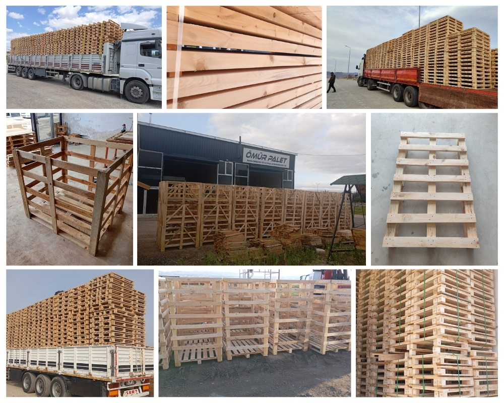 Boldre Wooden Pallets, Buy Wooden Pallets Wholesale